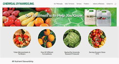 Desktop Screenshot of chemicaldynamics.com